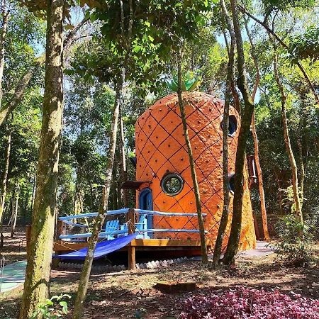 Casa Abacaxi, Vila Magica Bueno Brandão 외부 사진